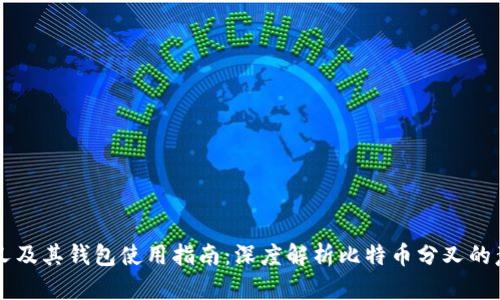 比特币分叉及其钱包使用指南：深度解析比特币分叉的意义与应用