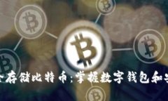 如何安全存储比特币：掌