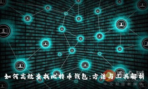 如何高效查找比特币钱包：方法与工具解析