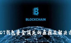 USDT钱包资金消失的原因及解决方法