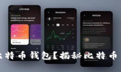 如何选择适合自己的比特币钱包？揭秘比特币钱