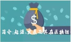 tp钱包公司简介：起源、发展及其在区块链领域的