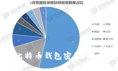 如何找回丢失的比特币钱包密码：解决方案与实用技巧