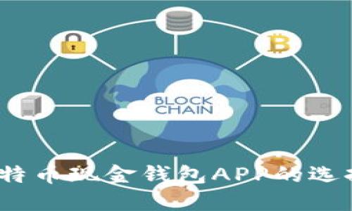 全面解读:比特币现金钱包APP的选择与使用指南