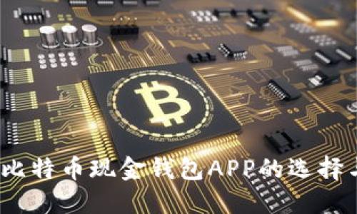 全面解读:比特币现金钱包APP的选择与使用指南