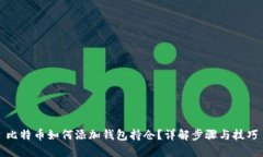 比特币如何添加钱包持仓？详解步骤与技巧