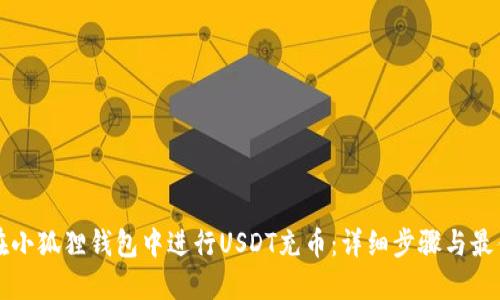 如何在小狐狸钱包中进行USDT充币：详细步骤与最佳实践