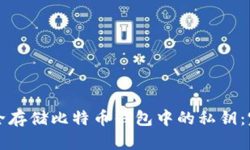 如何安全存储比特币钱包中的私钥:完整指南