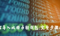 如何导入比特币轻钱包:完整步骤指南