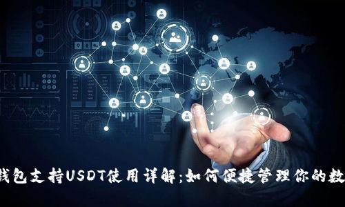极客钱包支持USDT使用详解:如何便捷管理你的数字资产