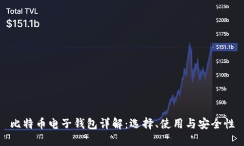 比特币电子钱包详解：选择、使用与安全性