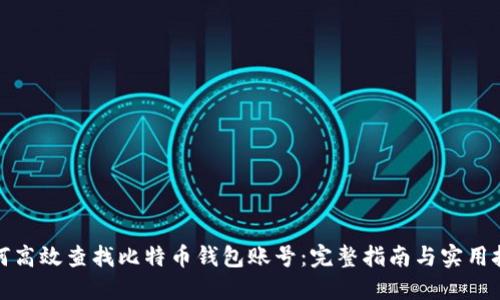 如何高效查找比特币钱包账号:完整指南与实用技巧