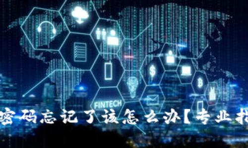 比特币冷钱包密码忘记了该怎么办?专业指南与解决方案