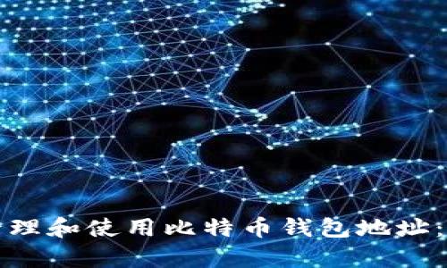 如何有效管理和使用比特币钱包地址:全方位指南
