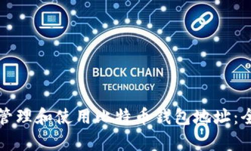 如何有效管理和使用比特币钱包地址:全方位指南