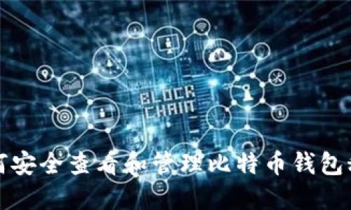 如何安全查看和管理比特币钱包秘钥