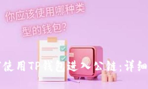 如何使用TP钱包进入公链：详细指南