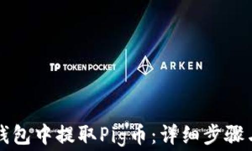 
如何从TP钱包中提取Pig币：详细步骤与注意事项