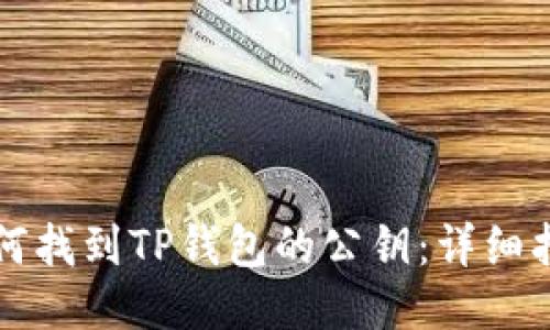 如何找到TP钱包的公钥:详细指南