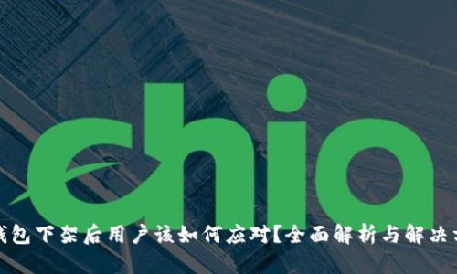 TP钱包下架后用户该如何应对?全面解析与解决方案