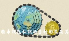 揭秘比特币钱包私钥的多种形式及其安全性
