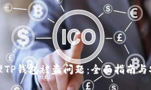 如何处理TP钱包被盗问题：全面指南与安全建议