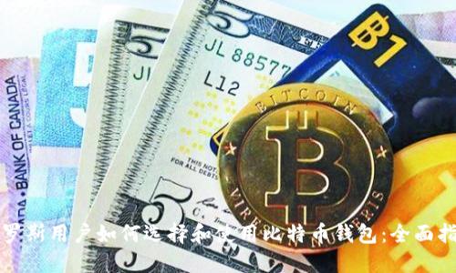 俄罗斯用户如何选择和使用比特币钱包：全面指南