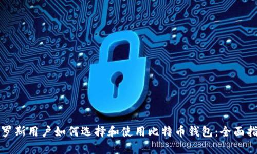 俄罗斯用户如何选择和使用比特币钱包：全面指南