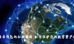 比特币钱包的私钥解析:如何保护你的数字资产