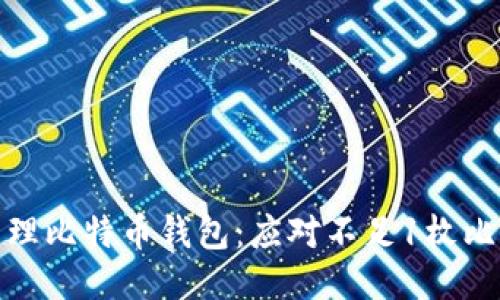 如何安全管理比特币钱包:应对不足1枚比特币的策略