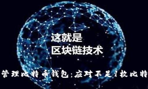 如何安全管理比特币钱包:应对不足1枚比特币的策略