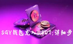 如何使用SGY钱包充入USDT：详细步骤与技巧
