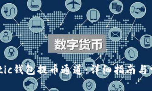 如何选择Matic钱包提币通道:详细指南与常见问题解答