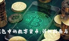 如何找出TP钱包中的数字货币:详细指南与常见问