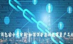 USDT钱包安全性分析:如何保护您的数字资产不被