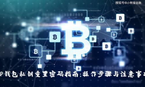 TP钱包私钥重置密码指南:操作步骤与注意事项