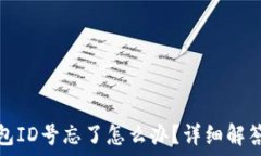 比特币冷钱包ID号忘了怎么办?详细解答与安全