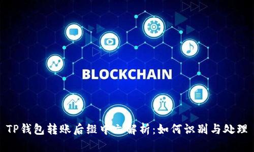 TP钱包转账后缀中文解析:如何识别与处理