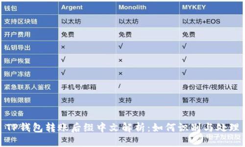 TP钱包转账后缀中文解析:如何识别与处理
