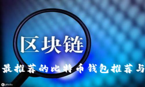 国内用户最推荐的比特币钱包推荐与选择指南