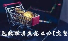 :狗狗币钱包数据丢失怎么办？完整找回指南