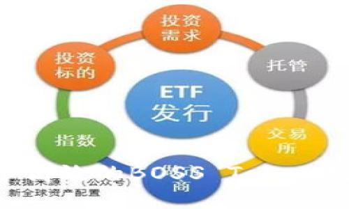 如何开发一个高效的BOSS Token钱包:全面指南
