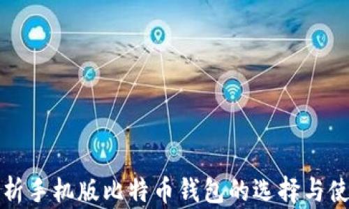 全面解析手机版比特币钱包的选择与使用技巧