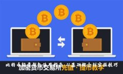 比特币轻量钱包使用指南:从基础概念到实操技