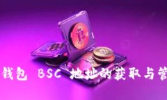 苹果TP钱包 BSC 地址的获取与管理指南