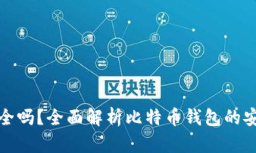 比特币钱包安全吗?全面解析比特币钱包的安全性与可靠性