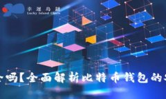 比特币钱包安全吗？全面解析比特币钱包的安全