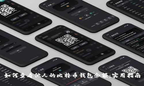 如何查看他人的比特币钱包余额:实用指南