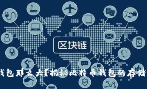 为什么比特币钱包那么大？揭秘比特币钱包的存储特点与使用技巧