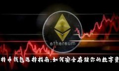 比特币钱包选择指南:如何安全存储你的数字资